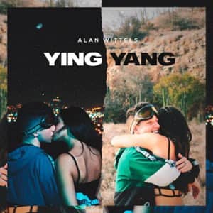 Disco Ying Yang de Alan Wittels
