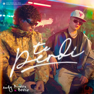 Disco Te Perdí de Andy Rivera