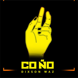 Disco Coño de Dixson Waz