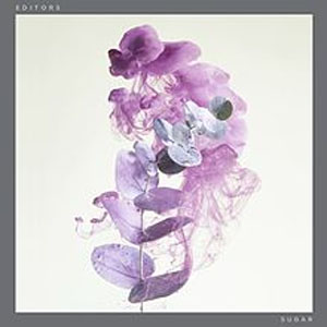 Disco Sugar de Editors