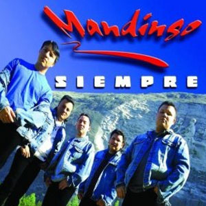 Disco Siempre de Mandingo