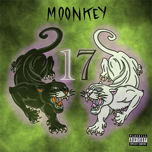 Disco 17 de Moonkey