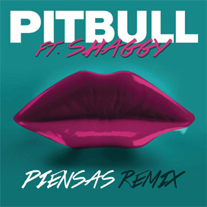 Disco Piensas (Remix) de Pitbull