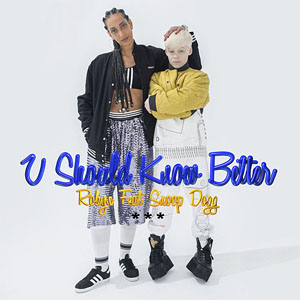 Disco U Should Know Better de Robyn