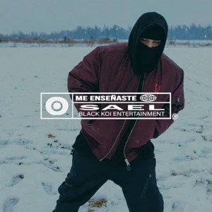 Disco Me Enseñaste de Sael