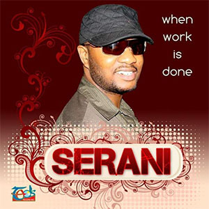 Disco When Work Is Done de Serani