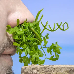 Álbum Xuxo de Xuxo